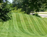 Lawn Maintenance Company