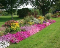 Commercial Landscape Maintenance Services