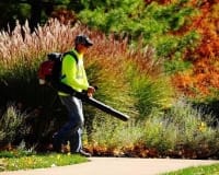 Commercial Landscape & Lawn Maintenance Company