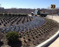 Commercial Landscape Maintance Services