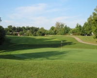 Golf Turf Management