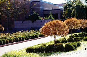 Commercial Landscape Maintenance Services