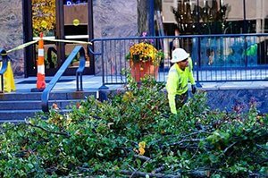 Grounds Maintenance & Land Maintenance Service in St. Louis