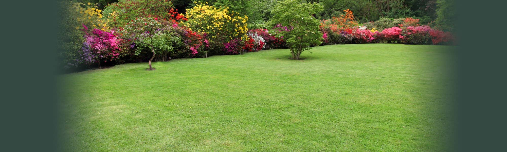 Residential Lawn Care & Turf Management in St. Louis