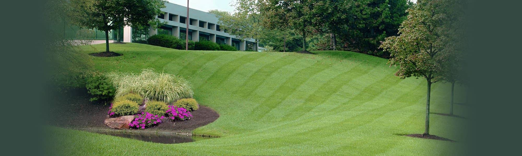 Commercial Turf Management & Grounds Maintenance